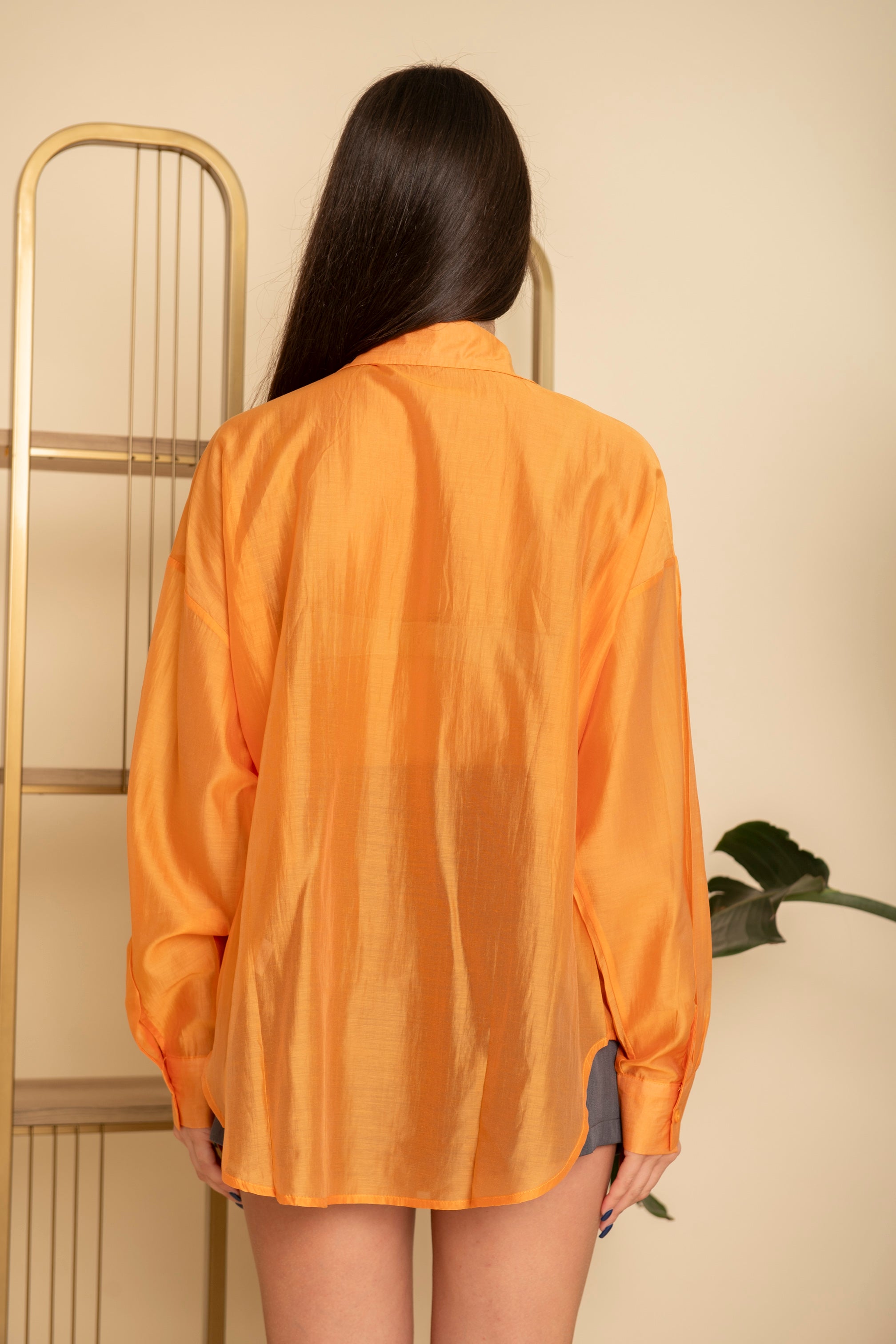 Camicia velata