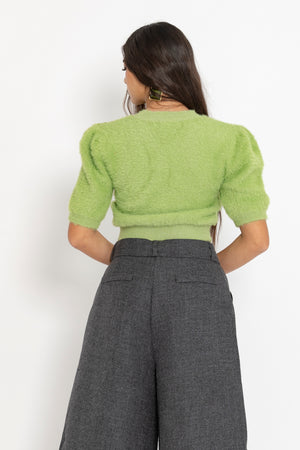Pull peluche