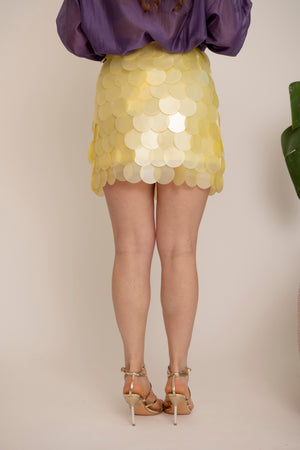Gonna big paillettes